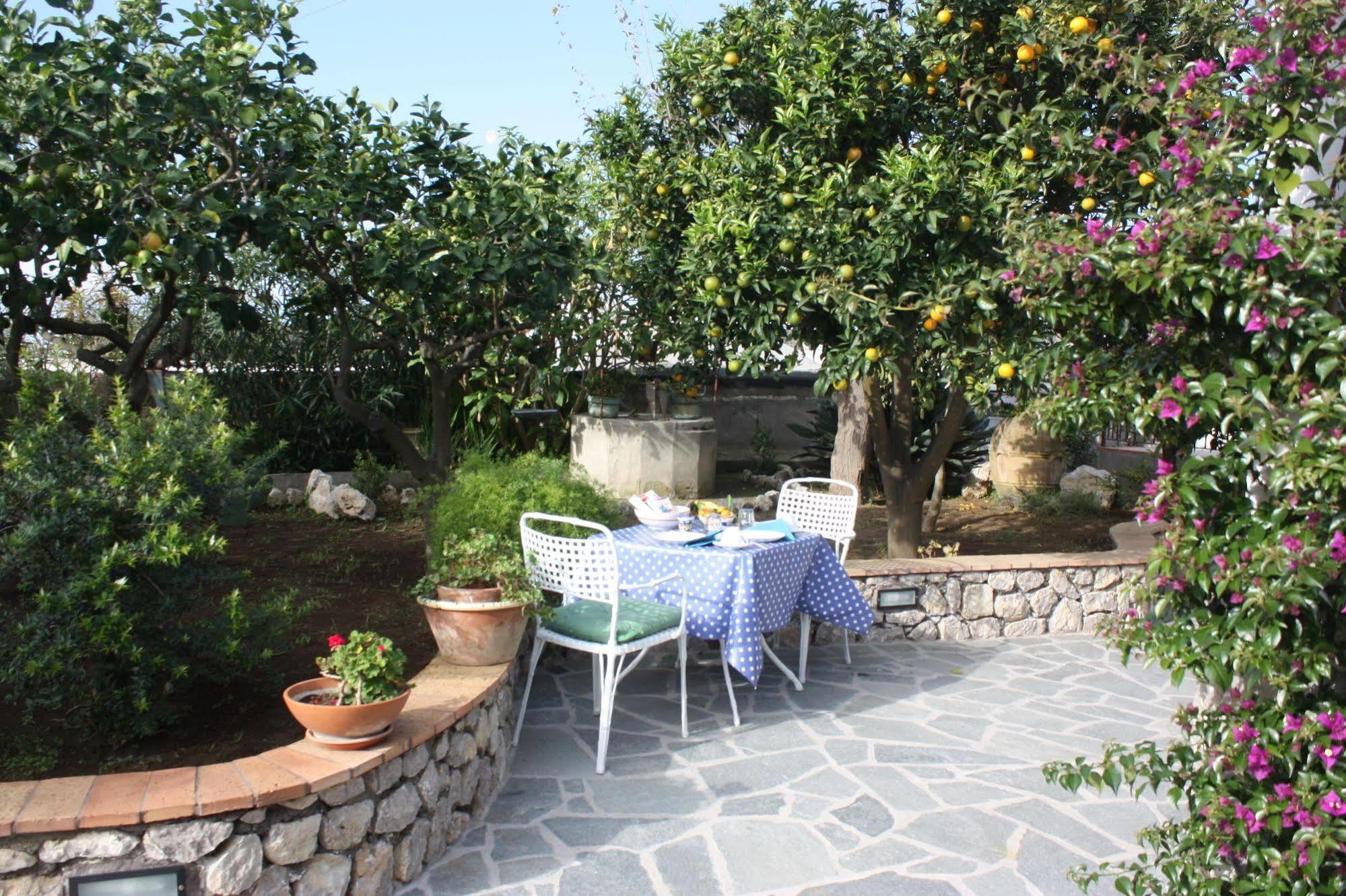 B&B Casetta Minghitto Anacapri  Exterior foto